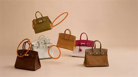 hermes biodenmais|Hermes products wikipedia.